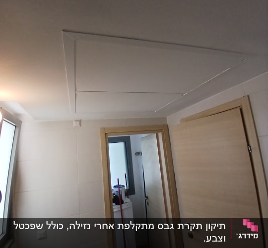 תקרה ודלתות בחדר עם חלון ומטאטאים